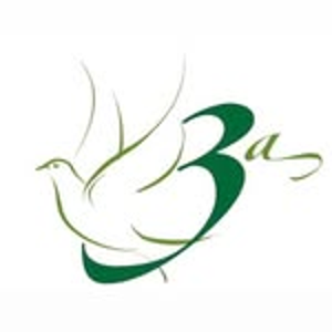 Logo da 3IPRGV